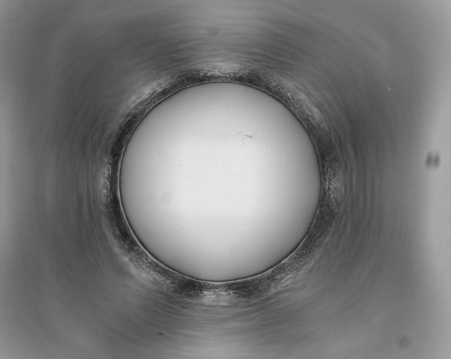 X0000096140591200802011212
