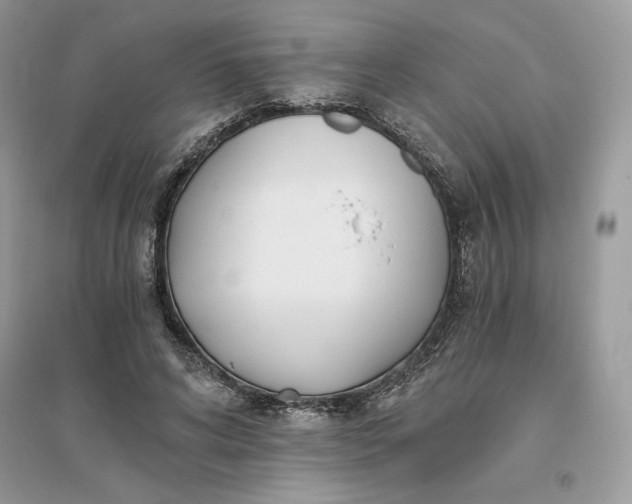 X0000096140592200802011212