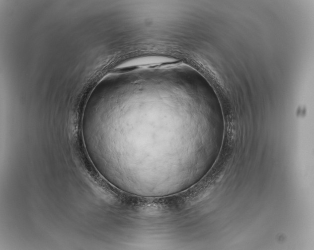 X0000096140593200802011212