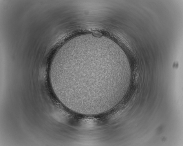 X0000096140595200802011212