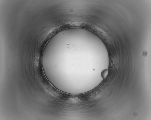 X0000096140596200802011212