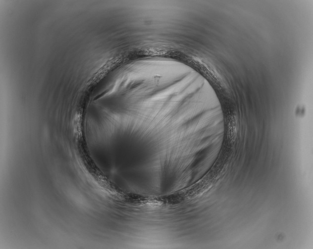 X0000096140598200802011212