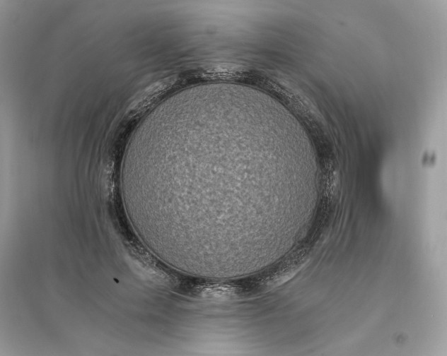 X0000096140599200802011212