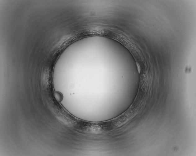 X0000096140600200802011212