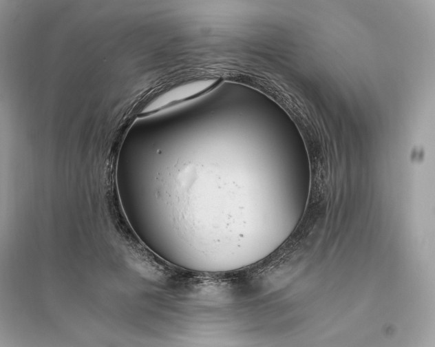 X0000096140601200802011212