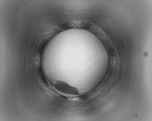 X0000096140602200802011212