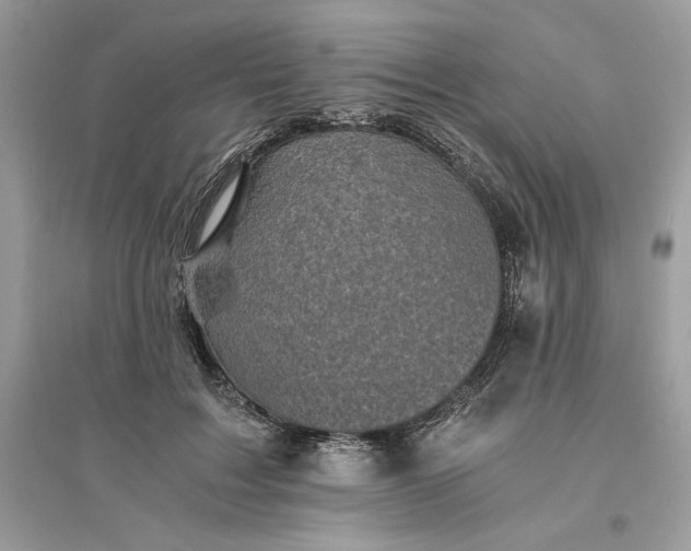 X0000096140603200802011212