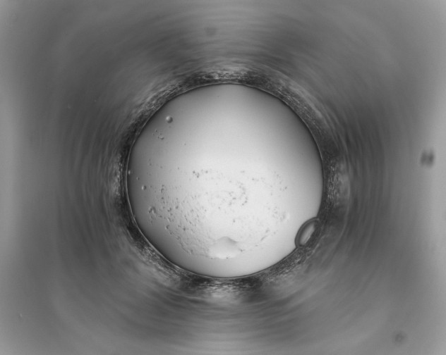 X0000096140604200802011212