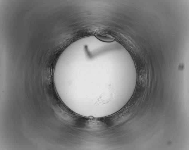 X0000096140605200802011212