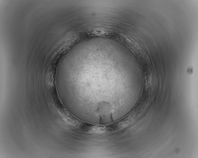 X0000096140606200802011212