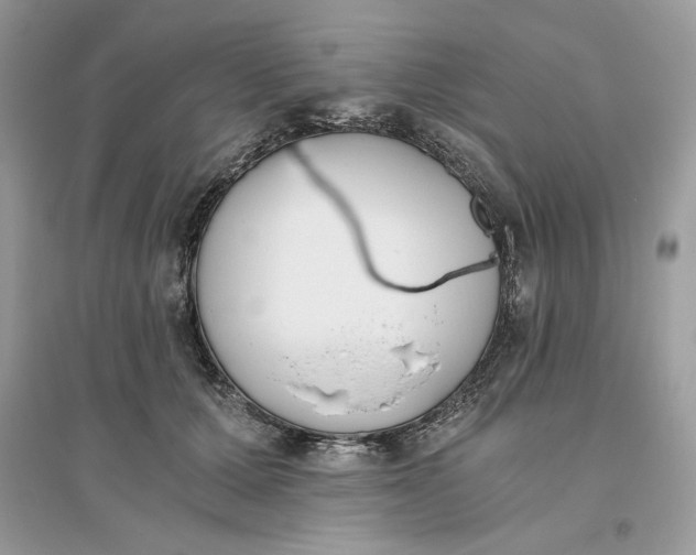 X0000096140607200802011212