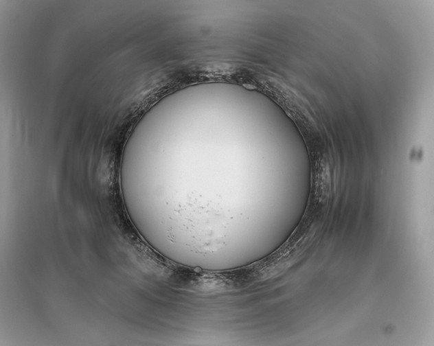 X0000096140608200802011212