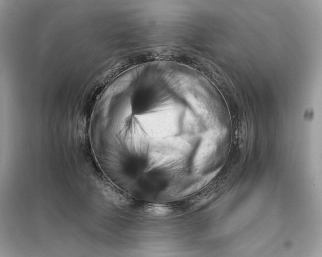 X0000096140610200802011212
