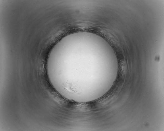 X0000096140615200802011212