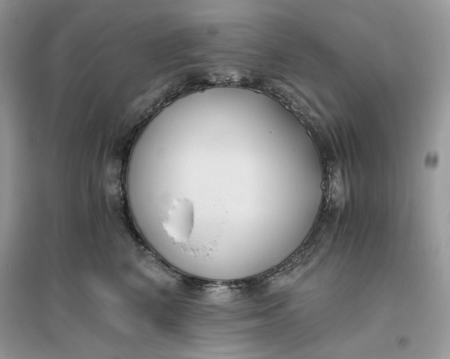 X0000096140616200802011212