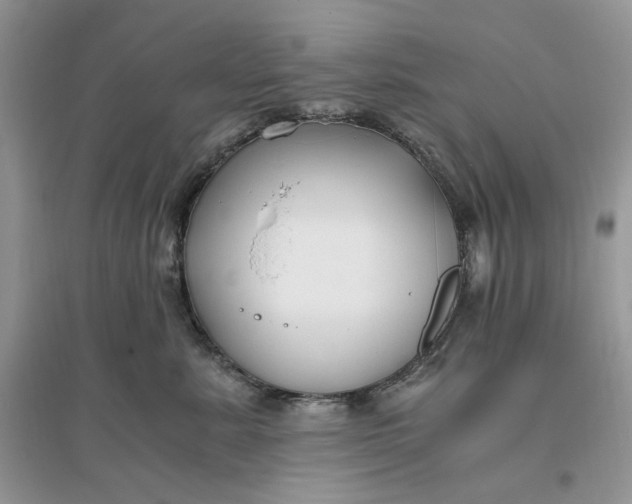 X0000096140619200802011212