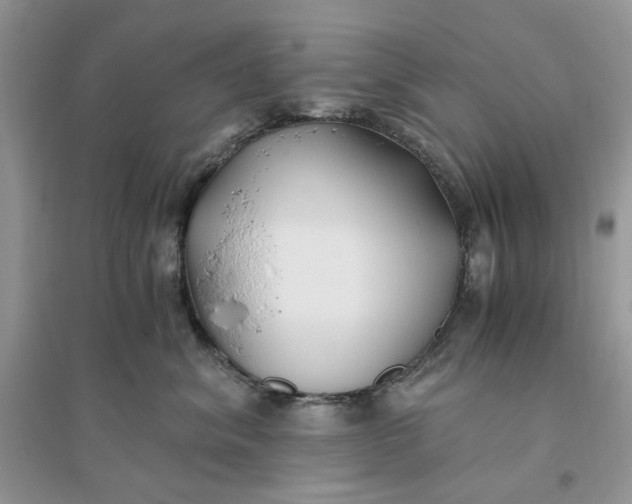 X0000096140620200802011212
