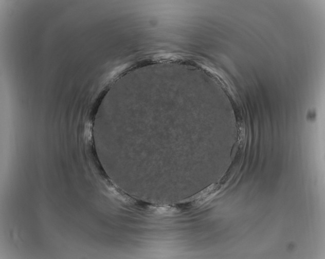 X0000096140621200802011212