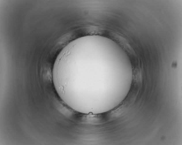 X0000096140622200802011212