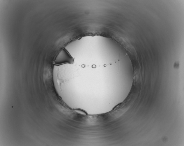 X0000096140623200802011212