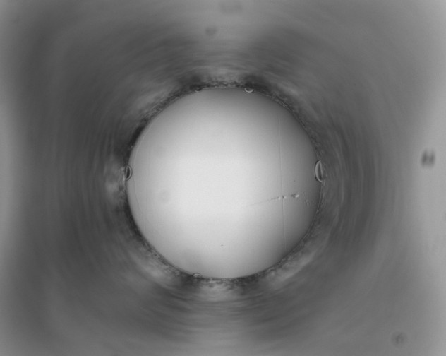 X0000096140624200802011212