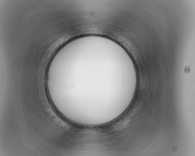 X0000096140625200802011211