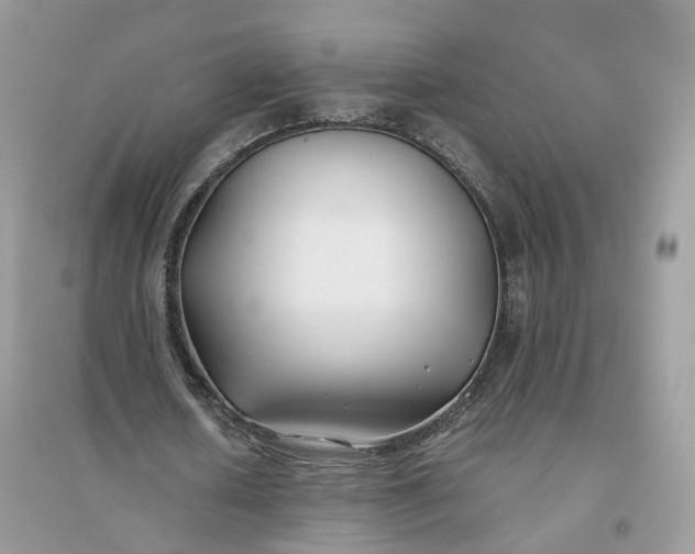 X0000096140626200802011211