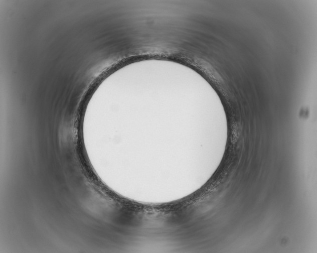 X0000096140632200802011211