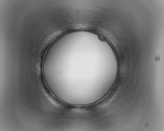 X0000096140633200802011211