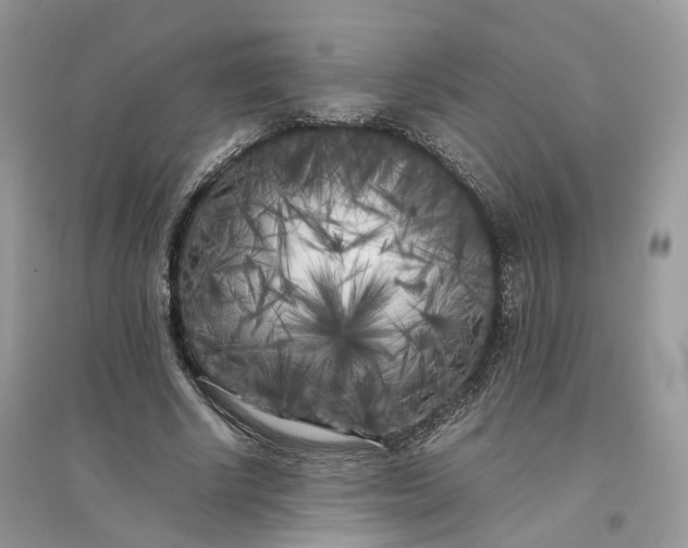 X0000096140634200802011211