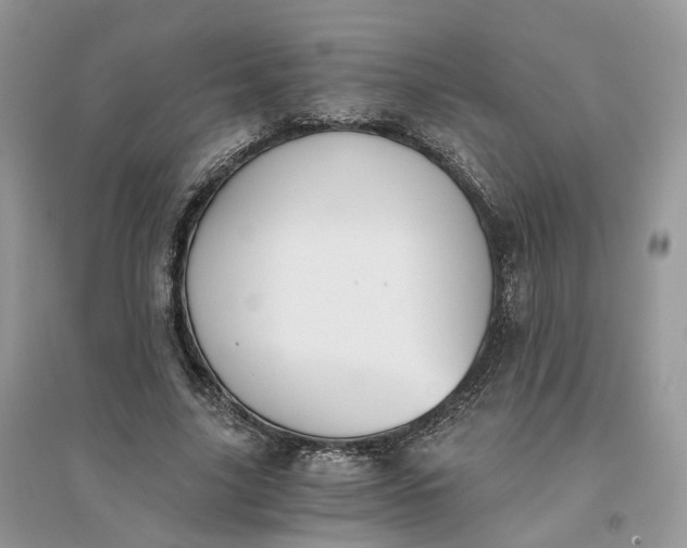 X0000096140635200802011211