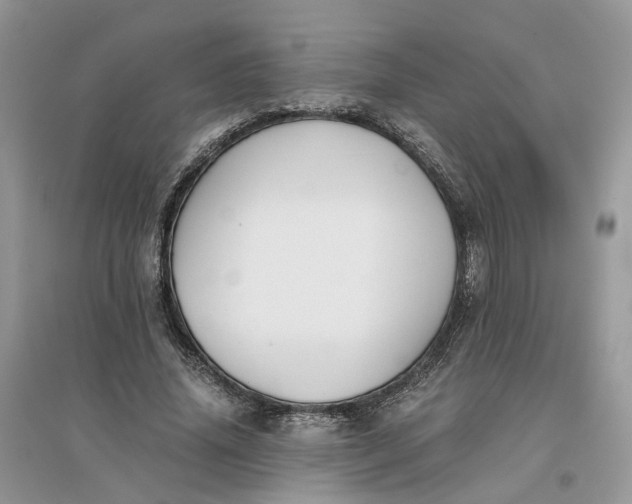 X0000096140636200802011211