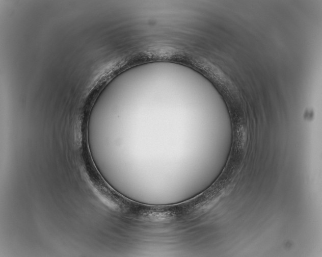 X0000096140638200802011211