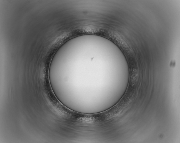 X0000096140639200802011211