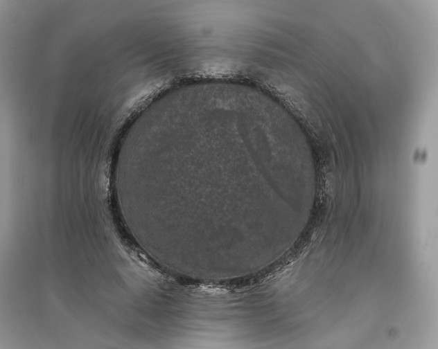 X0000096140640200802011211