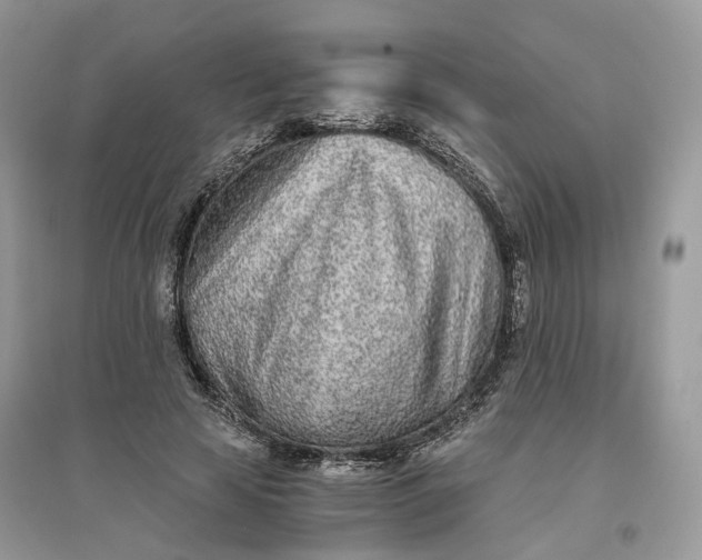 X0000096140641200802011211