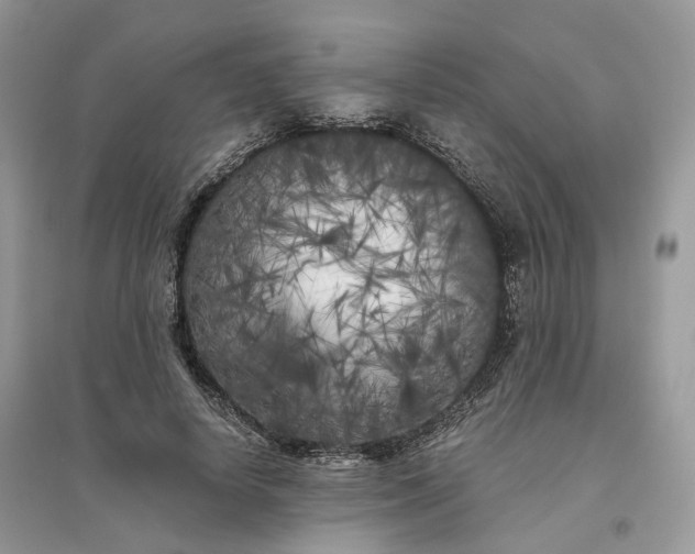 X0000096140642200802011211