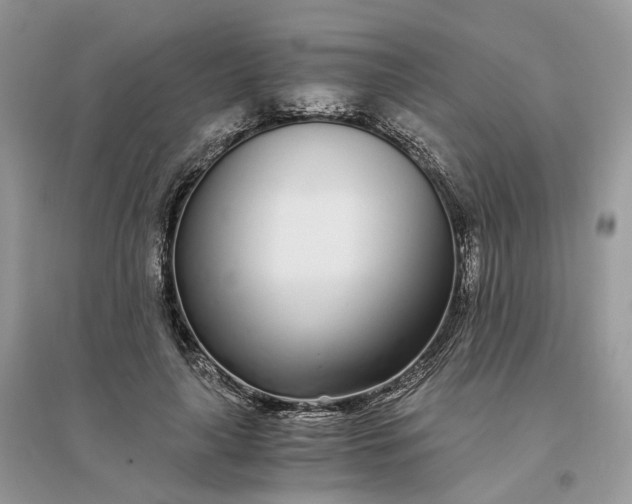 X0000096140643200802011211