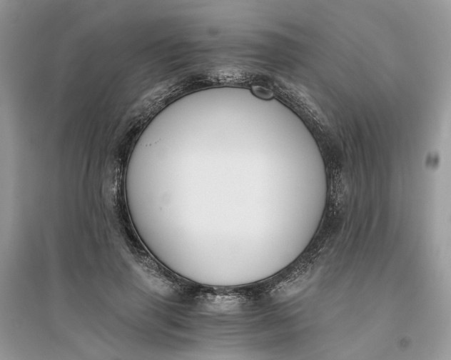 X0000096140645200802011211