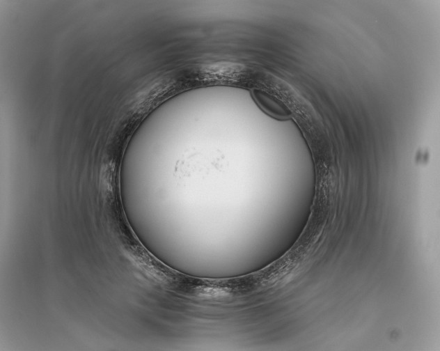 X0000096140649200802011211