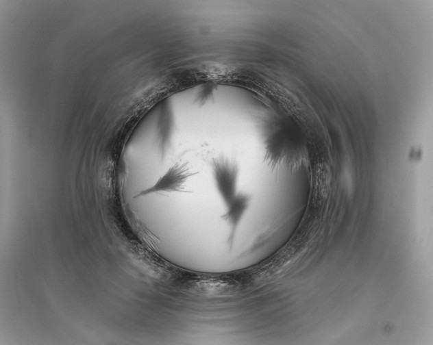 X0000096140650200802011211