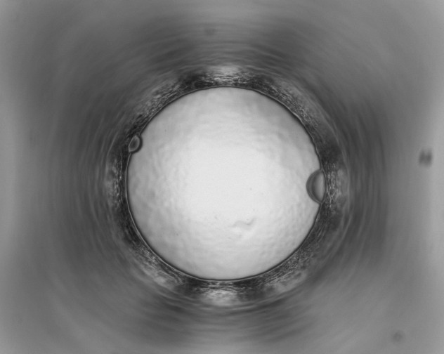 X0000096140653200802011211