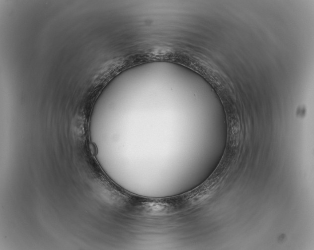 X0000096140654200802011211