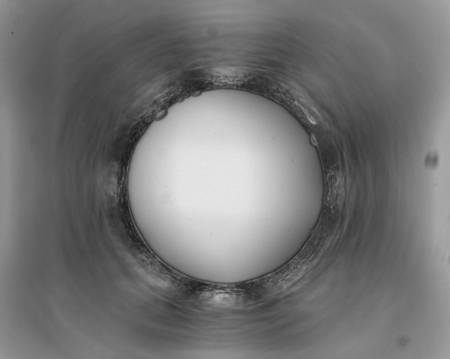 X0000096140655200802011211