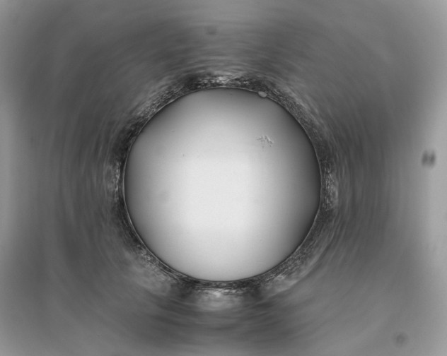 X0000096140657200802011211