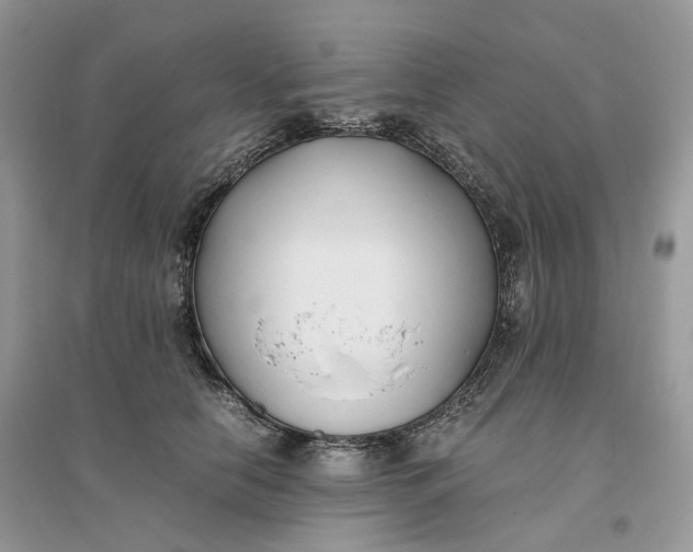 X0000096140658200802011211