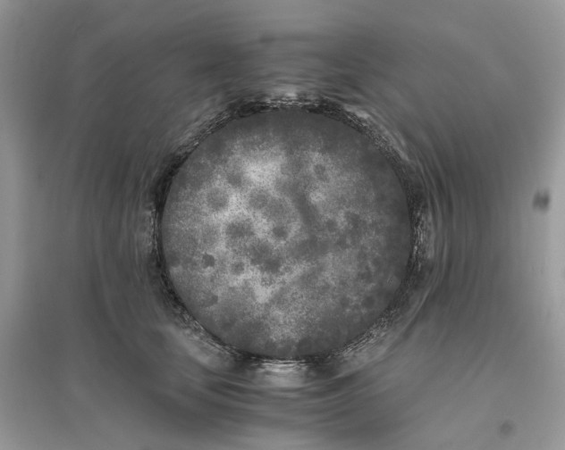 X0000096140659200802011212