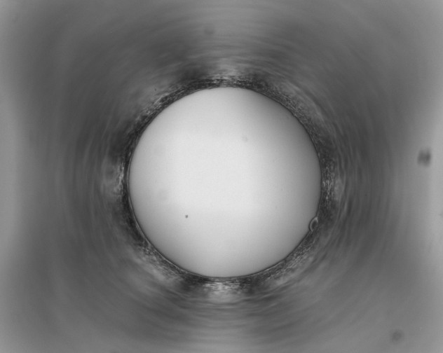 X0000096140660200802011212