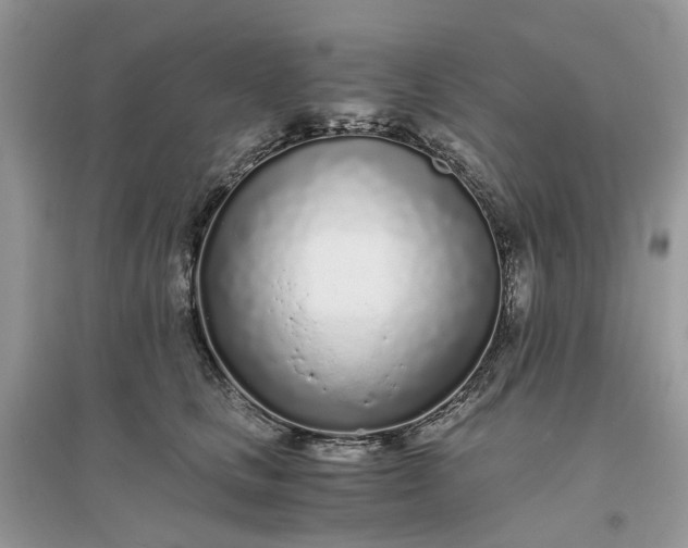 X0000096140661200802011212
