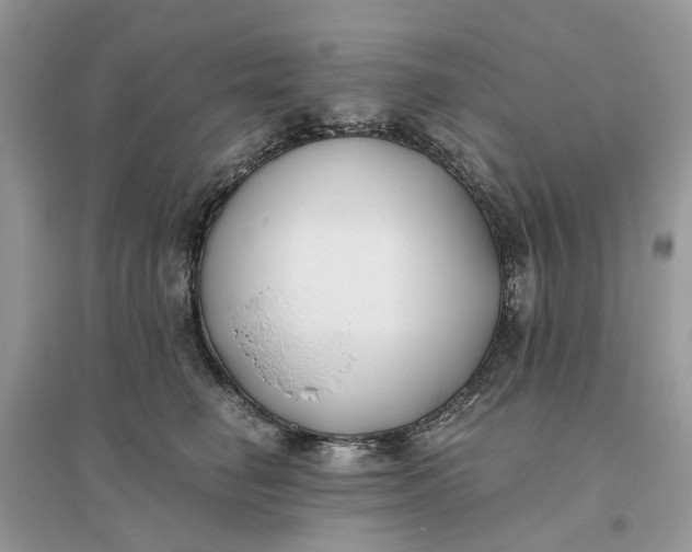 X0000096140662200802011212